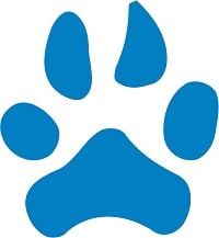 Northwood_University_2021_allmode